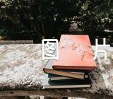 元旦手抄报图片(锦集2篇)