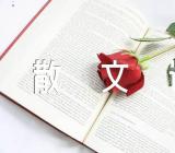 淡定散文诗【6篇】