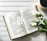 重庆行记随笔散文范文(精选12篇)