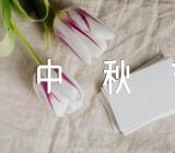 中国传统节日作文中秋节【汇编五篇】