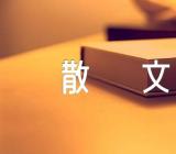 浅醉于秋心情散文【8篇】