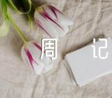 文秘实习周记【六篇】