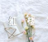 红楼梦一千字报告(通用3篇)