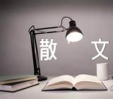 怀念那些树抒情散文(锦集5篇)