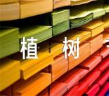 学校植树节的活动方案范文(精选5篇)