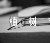 学校植树节活动方案锦集五篇