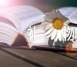 光棍节表白好吗?送什么礼物宅男看过来范文四篇