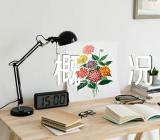 苏州导游词概况800字(合集3篇)