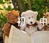 那次我真的好高兴初中作文汇编13篇