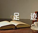 大班音乐教案声音与足迹【汇编十篇】