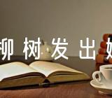 幼儿园小班美术教案《柳树发出嫩芽》含反思范文汇总十四篇