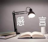 春节经典感言(合集6篇)