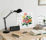 春节过年感言【五篇】