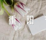 小学生重阳节策划活动方案精选7篇