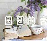 中班语言优质课教案及教学反思《圆圆的春天》范文(精选11篇)