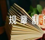 中企业管理规章制度内容范文六篇