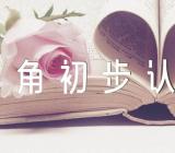《角初步认识》评课稿精选八篇