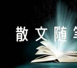雨天伤感散文随笔精选五篇