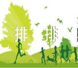 中班优质数学教案《排排队》(合集十篇)