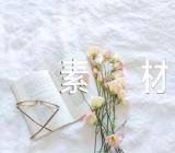 生活-初二作文素材范文(精选十九篇)