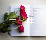 一年级体育教案范文(通用12篇)