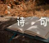 秋天唯美的爱情诗句【三篇】