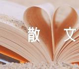 共赏流年心情散文(合集9篇)