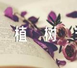 学校植树节优秀活动方案范文汇总八篇