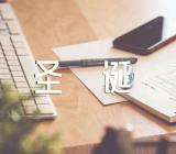 关于圣诞节的日记600字【七篇】