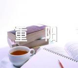 九九重阳节的学校活动方案范文十篇