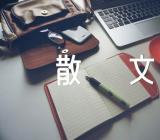 宁静的夜晚抒情散文范文(精选8篇)