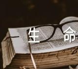 经典散文仰望生命范文(精选7篇)