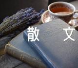 阳光温暖经典散文精选6篇