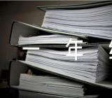 植树节一年级作文范文五篇