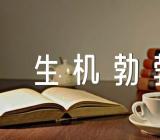 ·五四青年节生机勃勃活动方案精选13篇