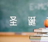 圣诞节活动方案策划书【十六篇】