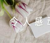 初中作文令人感动的一件事范文(精选20篇)