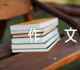 2023年我的偶像初中作文500字精选5篇