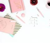 2020小学一年级写景作文精选3篇