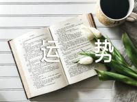 2024年射手座全年的运势精选二篇