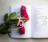 中秋主题班会活动方案集合13篇