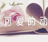 小班社会详案教案及教学反思《可爱的动物》(锦集12篇)