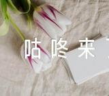 《咕咚来了》大班音乐教案范文(通用12篇)