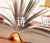 含柳的送别抒情诗词经典(通用3篇)