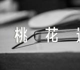 狮子座2023年秋季桃花运走向精选3篇