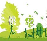 天蝎座十二月桃花运如何