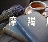 摩羯座命中的爱人(合集3篇)