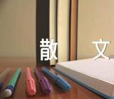 依然记得你抒情散文范文六篇