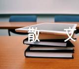 所谓爱情抒情散文精选六篇