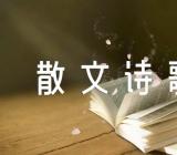 赞美坚强经典散文诗歌